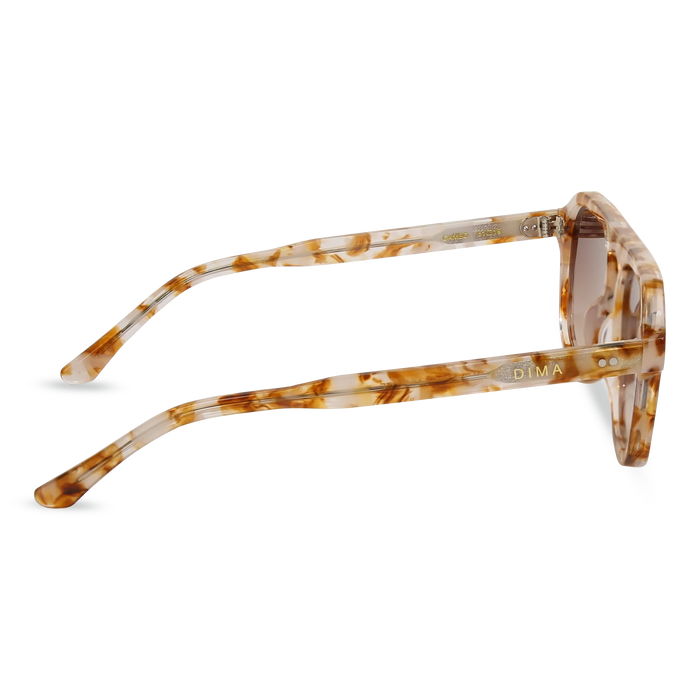 dima sunglass cameo brown pearl frame brown gradient lens 4