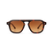 dima sunglass cameo havana frame brown gradient lens 1