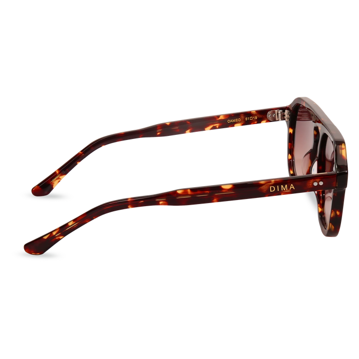 dima sunglass cameo havana frame brown gradient lens 4