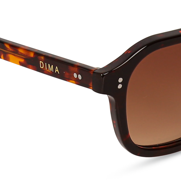 dima sunglass cameo havana frame brown gradient lens 5