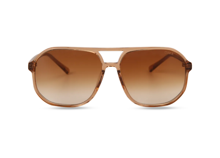 dima sunglass kiki crystal brown frame brown gradient lens 1