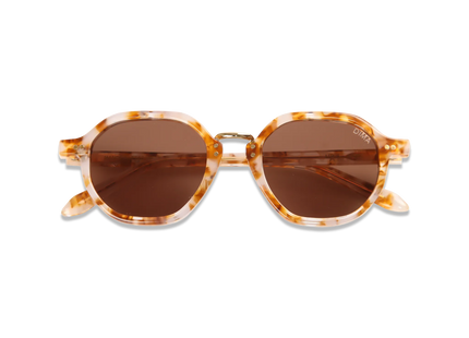 dima sunglass luxis brown pearl frame brown lens 2