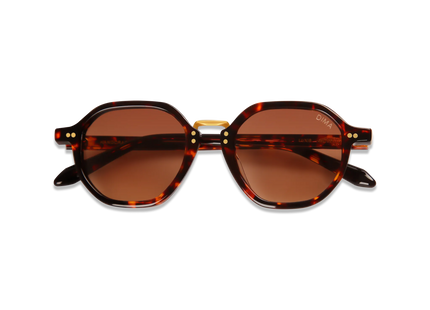 dima sunglass luxis havana frame brown gradient lens 2