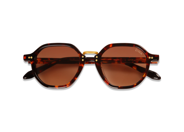 dima sunglass luxis havana frame brown gradient lens 2