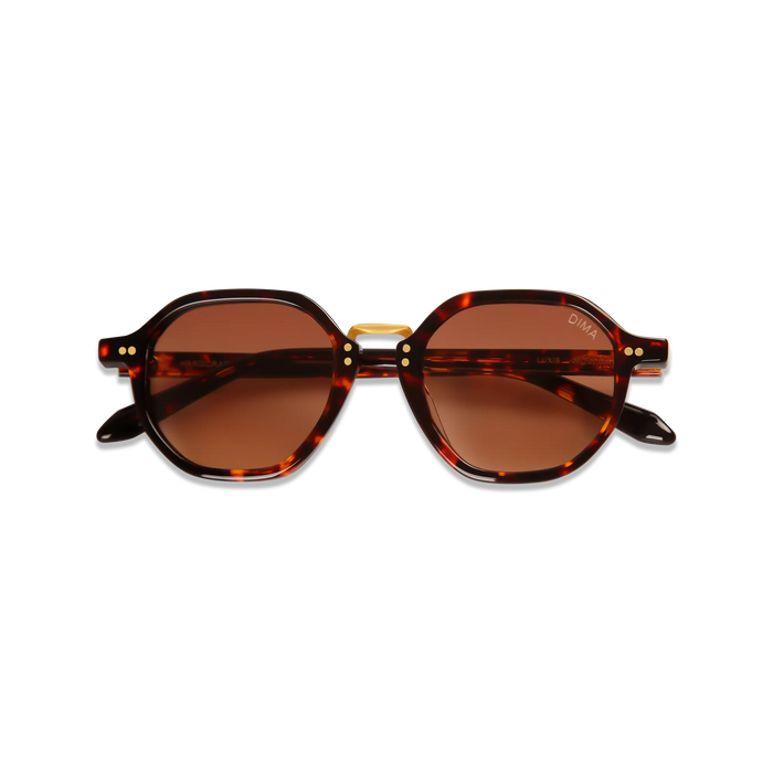 dima sunglass luxis havana frame brown gradient lens 2