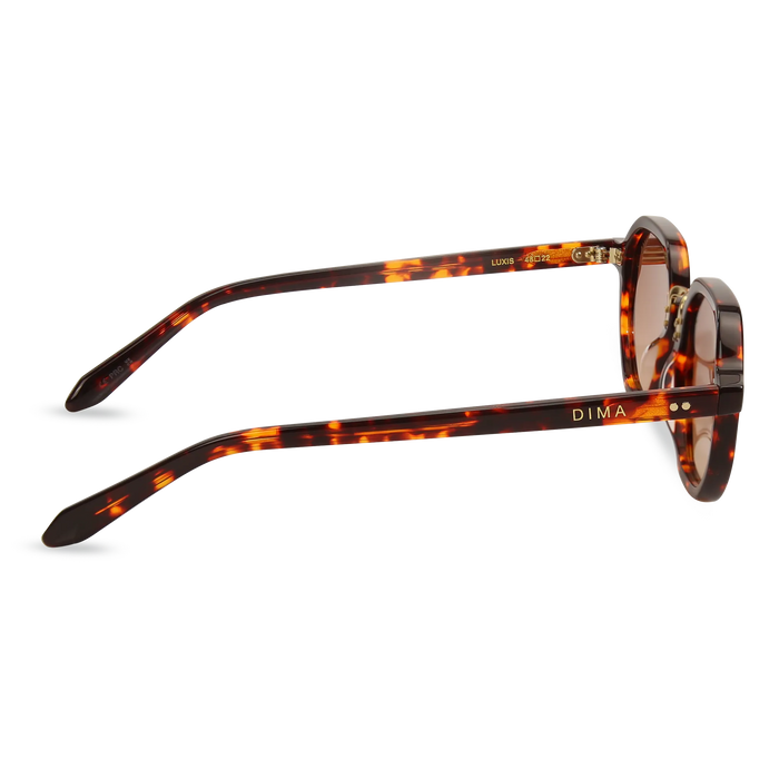 dima sunglass luxis havana frame brown gradient lens 4