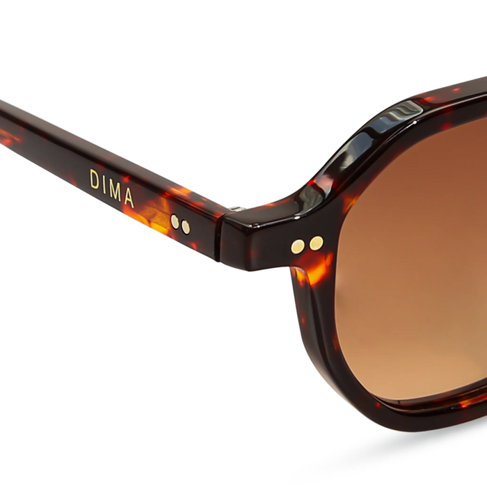 dima sunglass luxis havana frame brown gradient lens 5