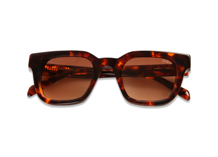 dima sunglass marlo havana frame brown gradient lens 2