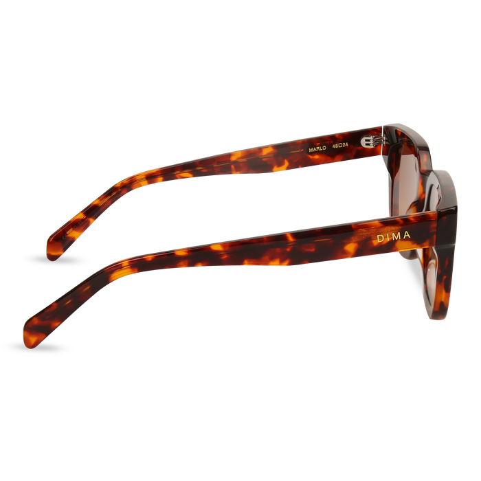 dima sunglass marlo havana frame brown gradient lens 4