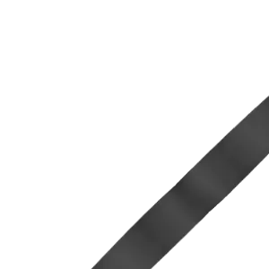 ribbon
