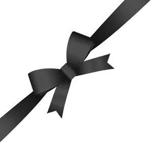 ribbon